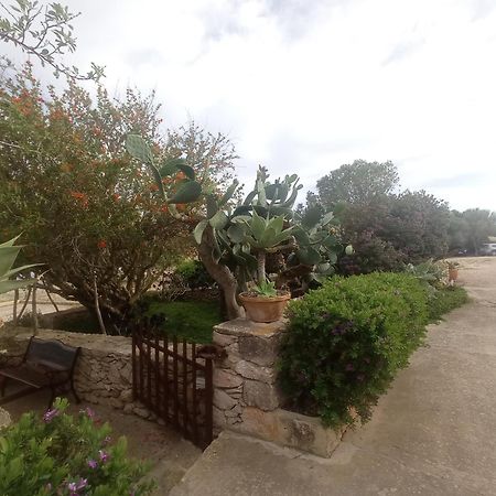Casa Rural Es Cap De Barbaria San Francisco Javier Exteriör bild