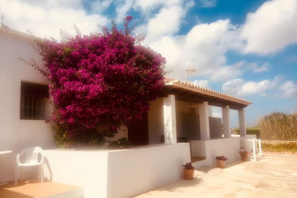 Casa Rural Es Cap De Barbaria San Francisco Javier Exteriör bild